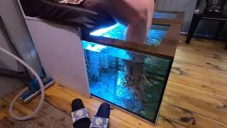 Пилинг рыбками Гарра Руфа Fish-spa