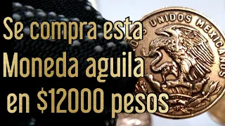 Se compra Moneda de $20 centavos águila mediana en $12000 pesos!