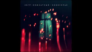 25 17     Комнатный  Новоселье  2022