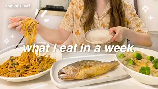 what i eat in a week 🥟 healthy asian recipes & my new gym diet, realistic days living alone 🍜