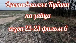 Охота на зайца русака в Полях Кубани.Сезон 22-23.Фмльм 6.