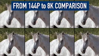 From 144P  to 8K. Every Resolution Compared