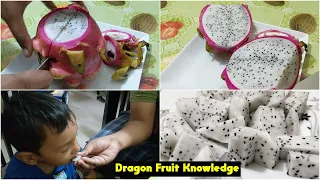 ড্রাগন ফল কাটার নিয়ম ও উপকারিতা | How to Cut Dragon Fruit Easily and Health Benefits