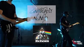 COMFORTABLY NUMB PINK FLOYD by ECHOES (tribute PINK FLOYD)
