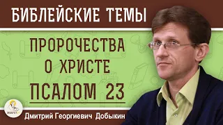 ПСАЛОМ 23.  ПРОРОЧЕСТВА О ХРИСТЕ.  Дмитрий Георгиевич Добыкин