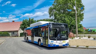 PKM Gdynia - MAN NL313 Lion's City CNG #2023 | linia 105