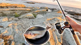Catch and Cook Whatever I Catch on this Ocean Cliff!!! (New England)