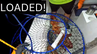 THIS! is why we go Lobster Fishing!