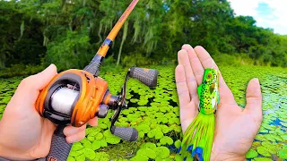 This HIDDEN POND has TROPHY BASS! (Frog Fishing)