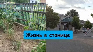 Уборка в палисаднике //Последние посадки // Новый заказ