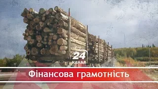 Почему украинский лес продолжают вырубать и експортировать даже после официального запрета