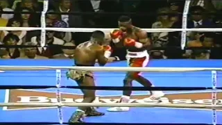 WOW!! BIG KNOCKOUT - Meldrick Taylor vs Terry Norris, Full Highlights