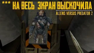 *** НА ВЕСЬ ЭКРАН ВЫСКОЧИЛА 🅰️ ALIENS VERSUS PREDATOR 2 🅰️ ЧАСТЬ 2