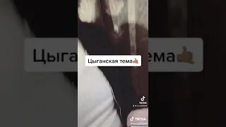 🔥Фатима 🔥цыганский рэп. цыган зачитал на своём Языке.