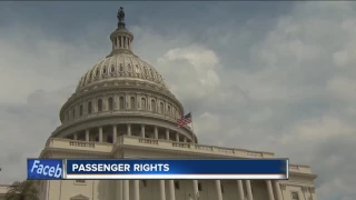 What rights do you have as a plane passenger?