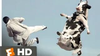 koung pow || kung fu cow || Best movie clip || cow funny 🤣🤣🤣