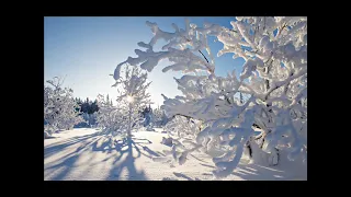 Первый снег ("Ах, кто не любит первый снег"), Рубцов Николай
