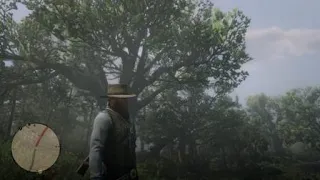 Red Dead Redemption 2 - Portal