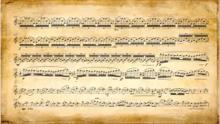 J. S. Bach: Chaconne BWV 1004 (P. Táborský - flute)