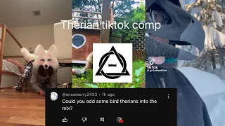 THERIAN TIKTOK COMP #2! (With birds :3)