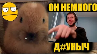 Папич оценил кролика работяги🐇