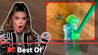 Ridiculousnessly Popular Videos: Creepy Crawlers Edition 🕷 Ridiculousness