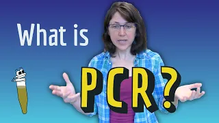 What is PCR?