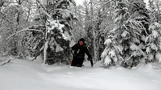 WENT INTO THE FOREST AND FOUND A LAKE. SUCCESSFUL FISHING IN THE DEEP WINTER FOR JITS AND JITS.