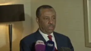 Libya PM on forming Arab force to fight IS