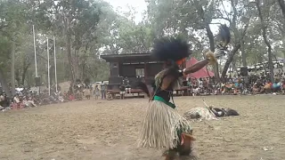 Bamaga/Saibai island dancing laura festival 2017