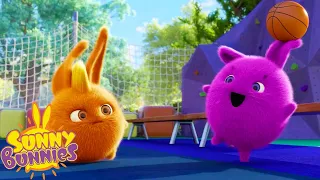 SUNNY BUNNIES - Basketball Freestyle 🏀  | Season 5 | Cartoons for Kids