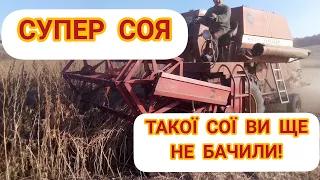 МОЛОТИМО СУПЕР КРУТУ СОЮ.