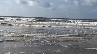 Galveston beach 2018