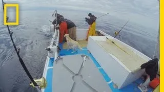 Catch of the Week - Wicked Ride | Wicked Tuna: Outer Banks