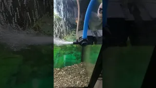 A melhor bomba pra aquário. #fish  https://youtu.be/6ZcB2z4oxzo