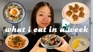 what i eat in a week: realistic asian recipes (easy Korean & Japanese food)