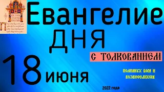 Евангелие дня с толкованием  18 июня  2022 года