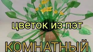 2 ПЭТ бутылки= КОМНАТНЫЙ ЦВЕТОК. 2 PET bottles = INDOOR FLOWER.