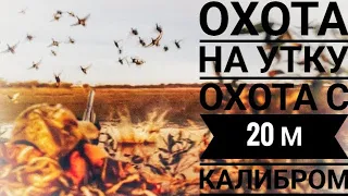 Охота на утку//Охота с 20 м калибром