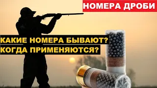 💥НОМЕРА ДРОБИ, КАРТЕЧИ И ИХ ПРИМЕНЕНИЕ. НА ОХОТЕ.