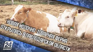 Новая молочно-товарная ферма открылась в Павлодарской области