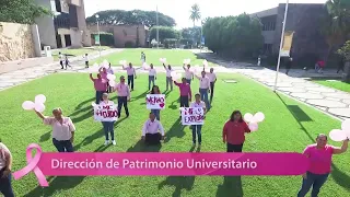 Día Mundial de la Lucha Contra el Cáncer de Mama | Dirección de Patrimonio Universitario