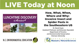 Lunchtime Discovery: Invasive Insect and Spider Pests in the Southeastern US