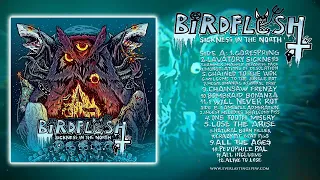 Birdflesh - Sickness In The North FULL ALBUM (2023 - Grindcore)