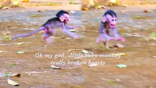 Oh my god...little baby monkey really broken hearts when mom to leave him like this