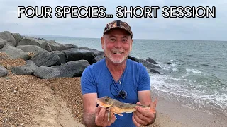 Four Species, Quick Session: Epic Sea Fishing at Shoreham!