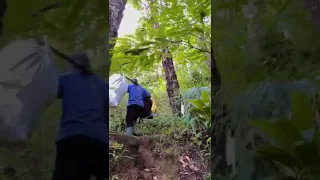 Aneh! Bapak ini tidak merasa capek ketika membawa barang menuju puncak gunung 😱