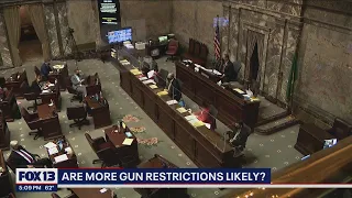 Are more gun restrictions likely? | FOX 13 Seattle