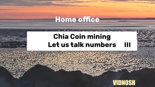 Chia coin mining. Let us look at the numbers III.