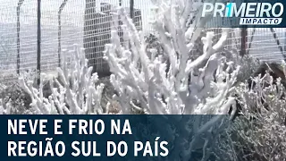 Com nova frente fria, região sul registra temperaturas negativas e neve | Primeiro Impacto(19/08/22)